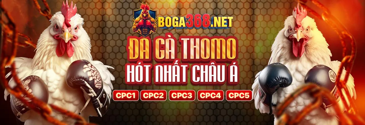 Các loại hình cá cược đa dạng tại sonbet nhà cái